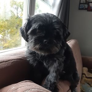 Meet your Posher, Tamara